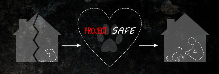 Project SAFE infographic