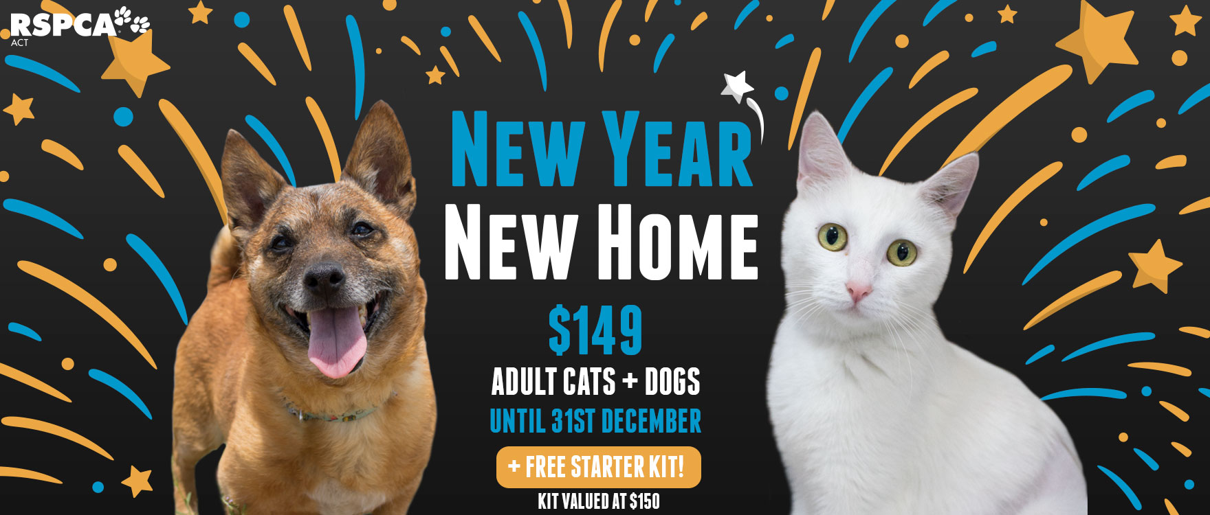 Help us find forever homes for our adult animals!