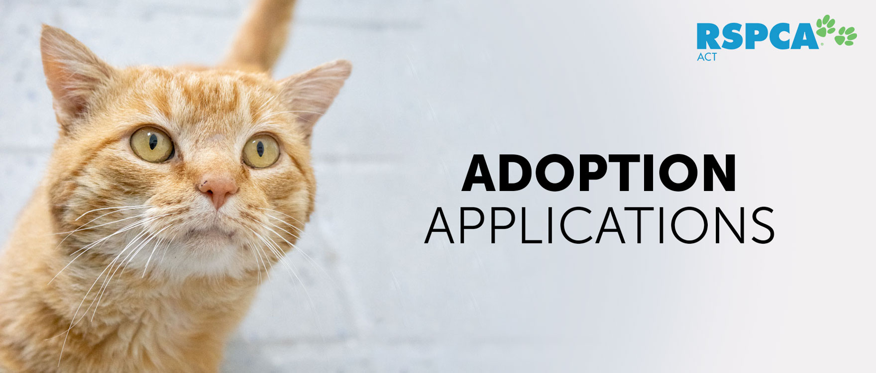 Adoption Applications
