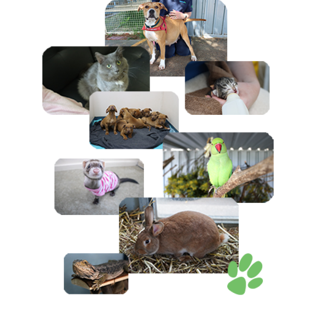 donation page