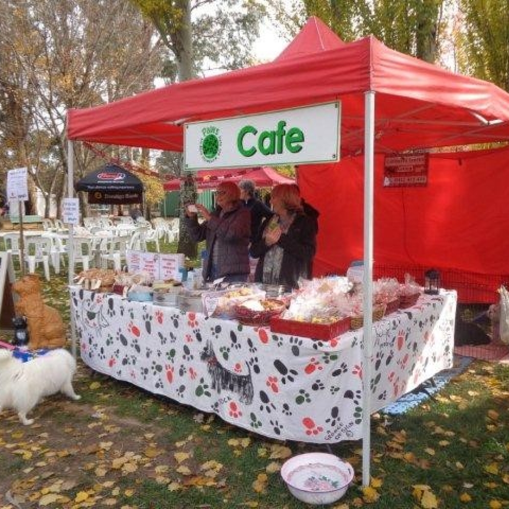 Paws Cafe