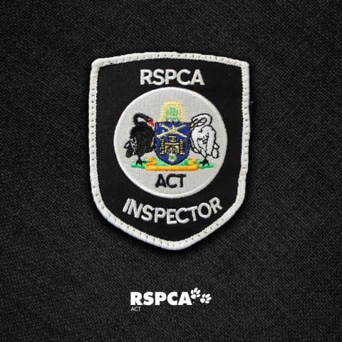 inspector