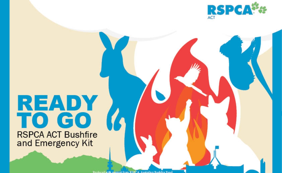 bushfire
