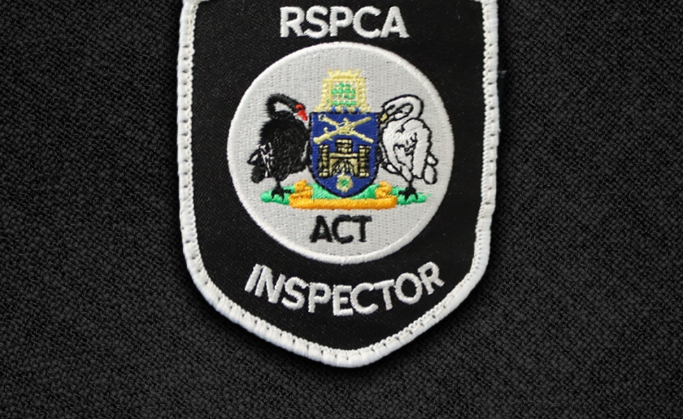 inspector