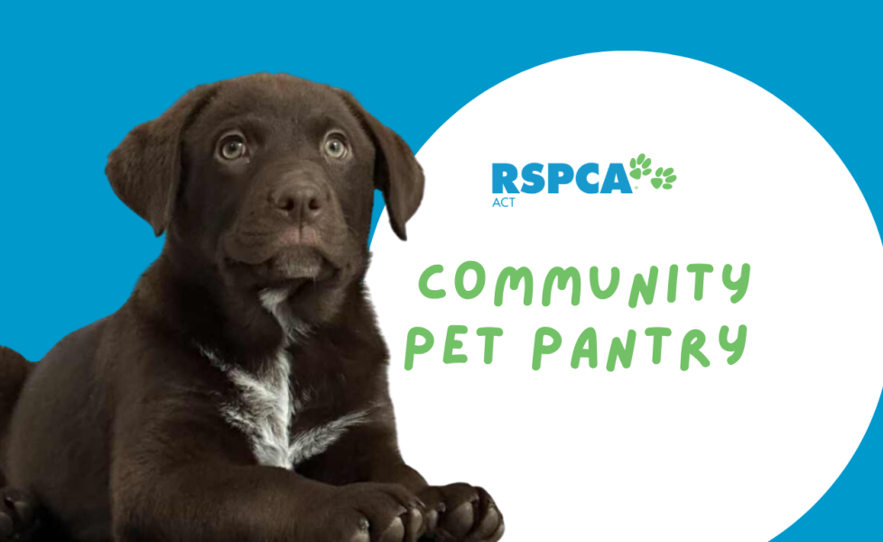 Pet Pantry
