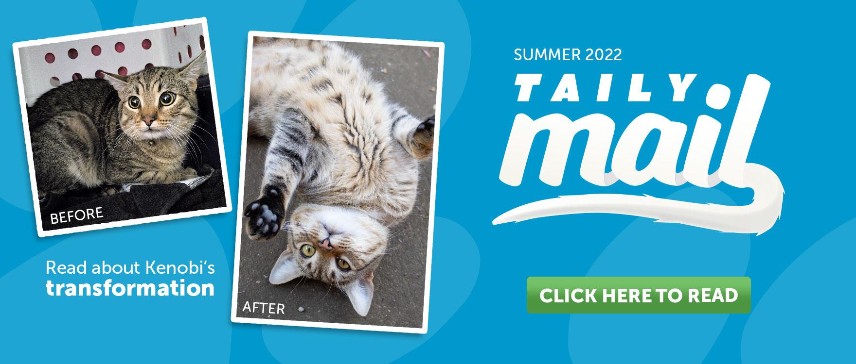 Read our Summer Taily Mail now!