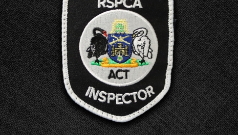 inspector
